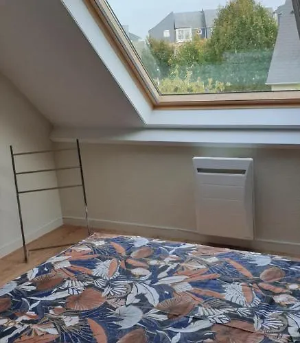 Le Paradis Des Fleurs * Le Treport