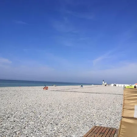 Le Paradis Des Fleurs